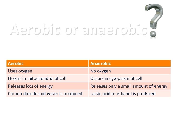 Aerobic or anaerobic Anaerobic Uses oxygen No oxygen Occurs in mitochondria of cell Occurs