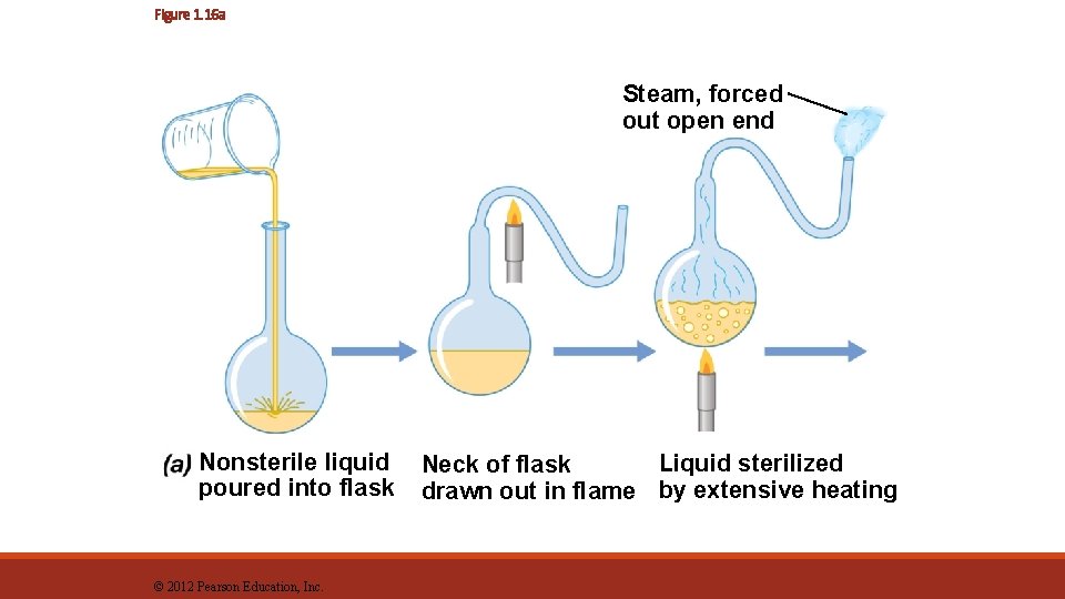 Figure 1. 16 a Steam, forced out open end Nonsterile liquid poured into flask