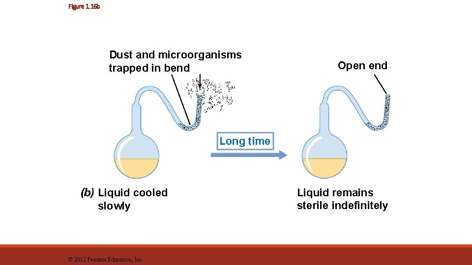 Figure 1. 16 b Dust and microorganisms trapped in bend Open end Long time