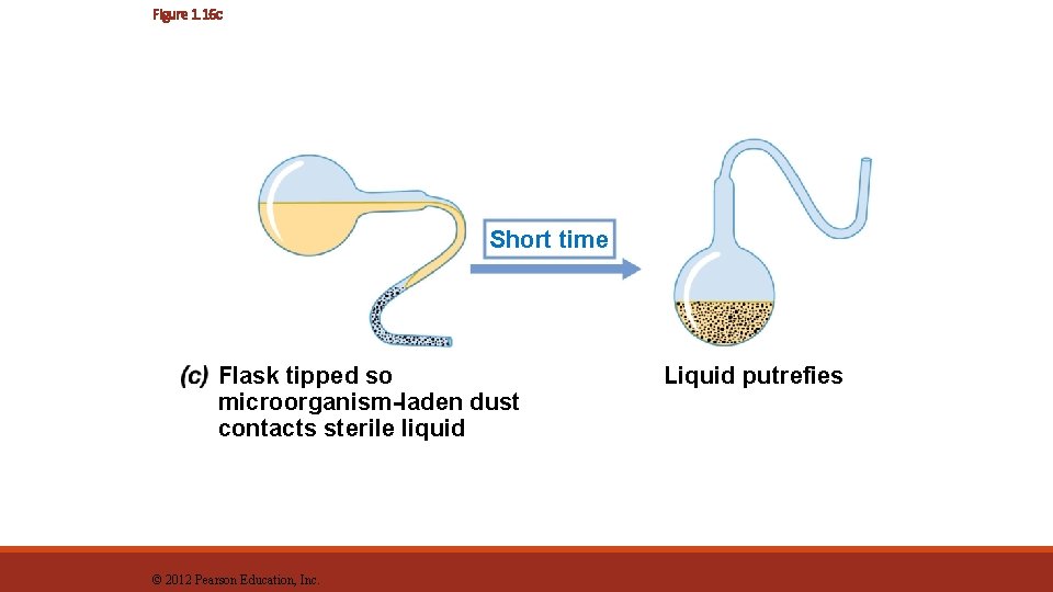 Figure 1. 16 c Short time Flask tipped so microorganism-laden dust contacts sterile liquid