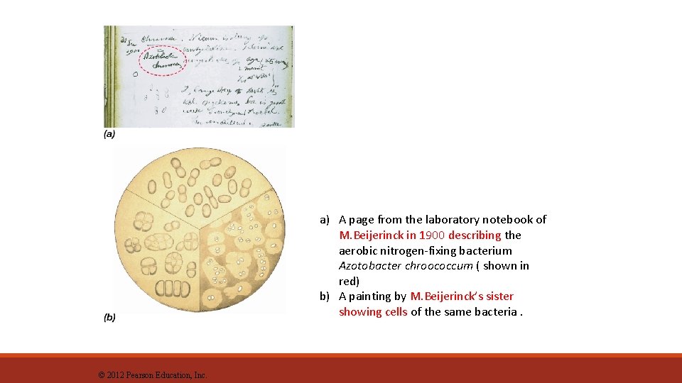 a) A page from the laboratory notebook of M. Beijerinck in 1900 describing the