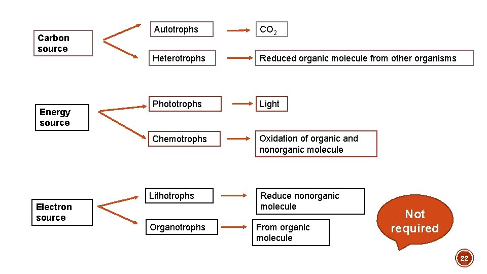 Carbon source Energy source Autotrophs CO 2 Heterotrophs Reduced organic molecule from other organisms