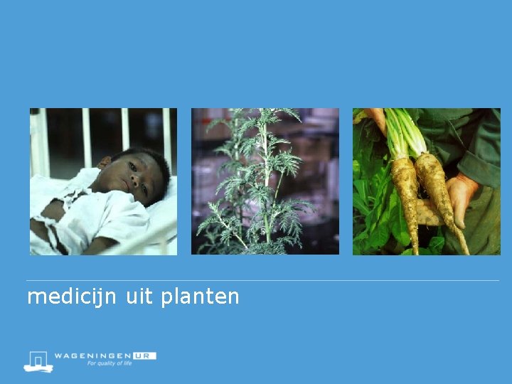 medicijn uit planten 