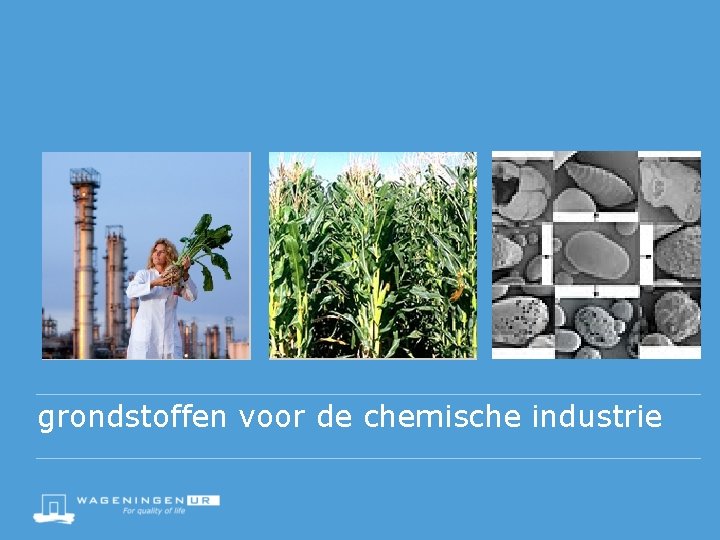 grondstoffen voor de chemische industrie 