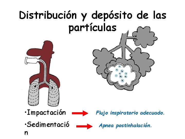 Distribución y depósito de las partículas • Impactación • Sedimentació n Flujo inspiratorio adecuado.