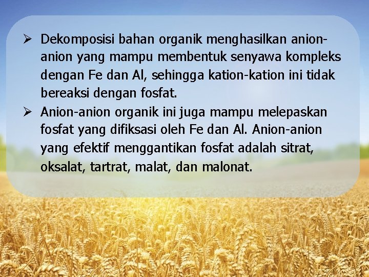  Dekomposisi bahan organik menghasilkan anion yang mampu membentuk senyawa kompleks dengan Fe dan