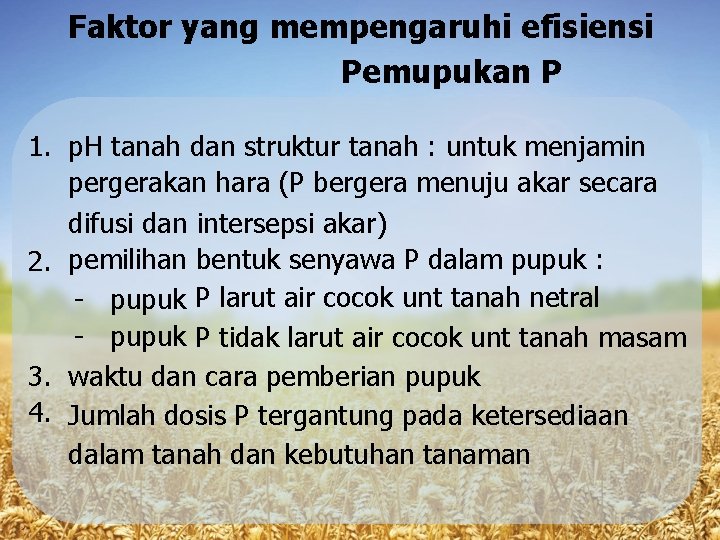 Faktor yang mempengaruhi efisiensi Pemupukan P 1. p. H tanah dan struktur tanah :