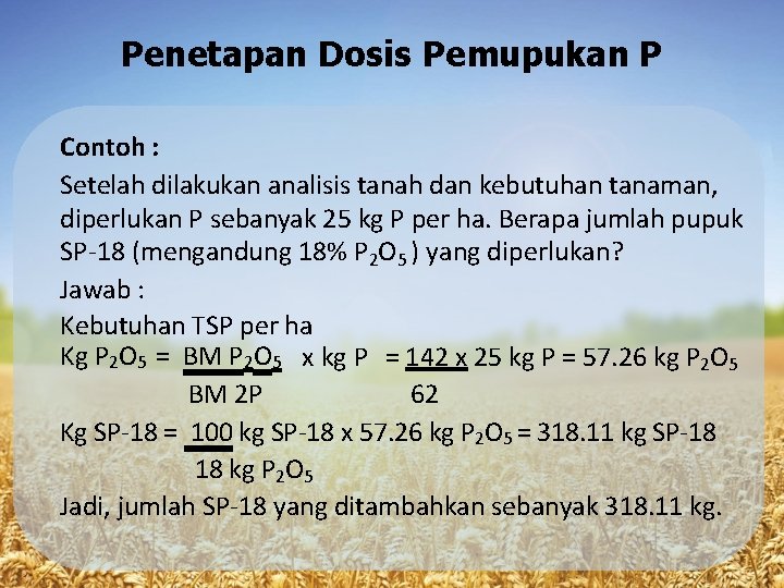 Penetapan Dosis Pemupukan P Contoh : Setelah dilakukan analisis tanah dan kebutuhan tanaman, diperlukan