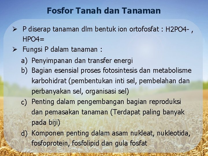 Fosfor Tanah dan Tanaman P diserap tanaman dlm bentuk ion ortofosfat : H 2