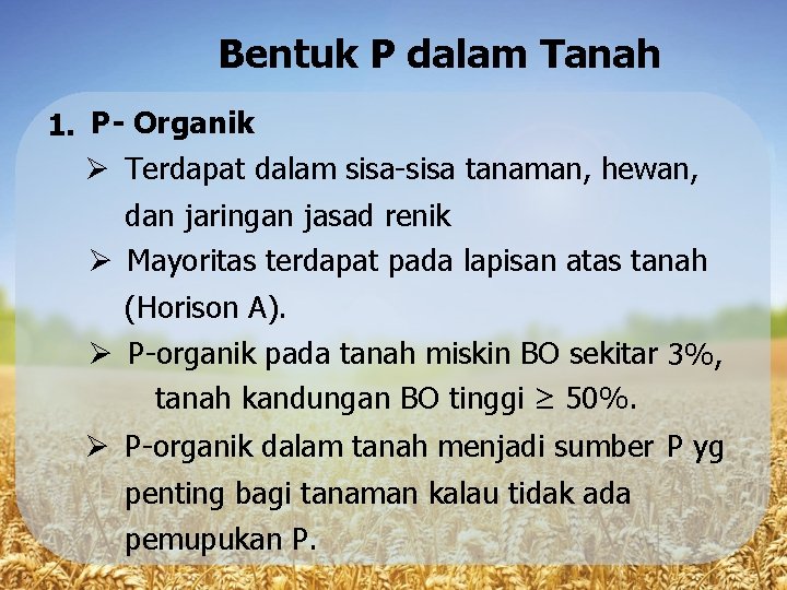 Bentuk P dalam Tanah 1. P- Organik Terdapat dalam sisa-sisa tanaman, hewan, dan jaringan