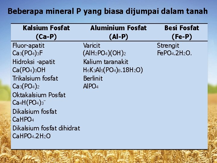 Beberapa mineral P yang biasa dijumpai dalam tanah Kalsium Fosfat (Ca-P) Fluor-apatit Ca 3(PO