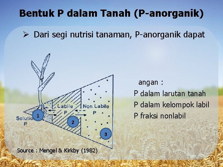 Bentuk P dalam Tanah (P-anorganik) Dari segi nutrisi tanaman, P-anorganik dapat dibedakan menjadi :