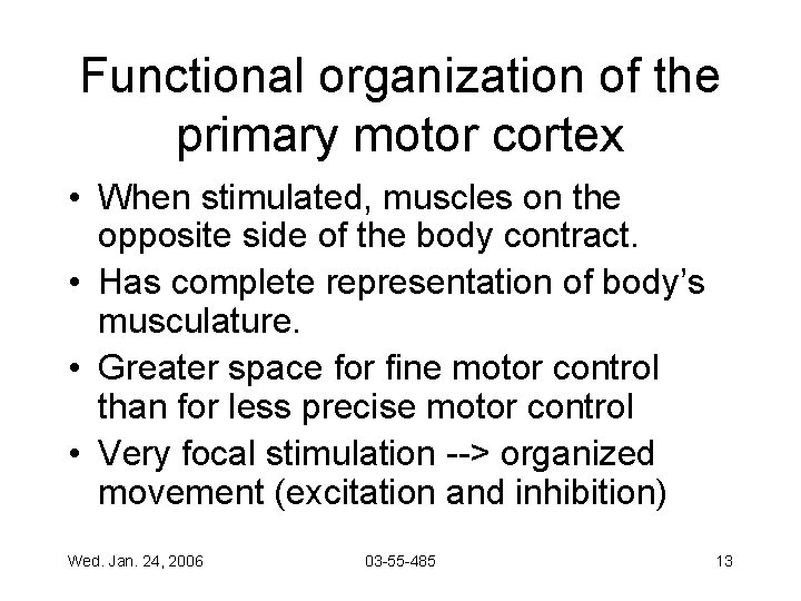 Functional organization of the primary motor cortex • When stimulated, muscles on the opposite