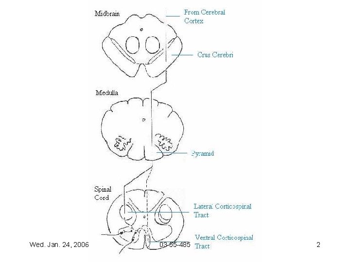 Wed. Jan. 24, 2006 03 -55 -485 2 