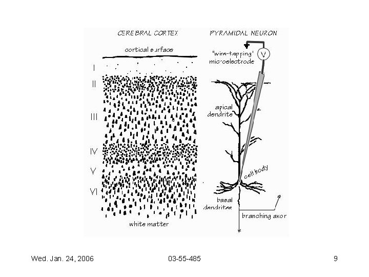 Wed. Jan. 24, 2006 03 -55 -485 9 