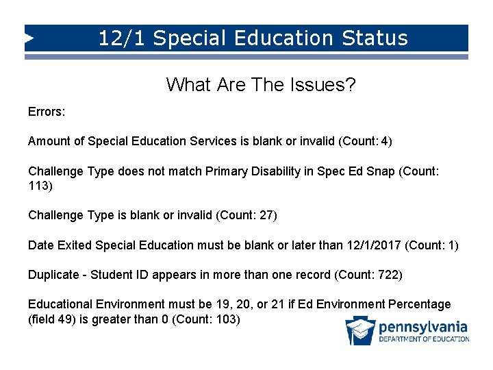 12/1 Special Education Status What Are The Issues? Errors: Amount of Special Education Services