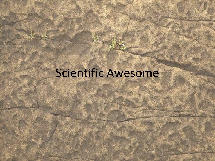 Scientific Awesome 