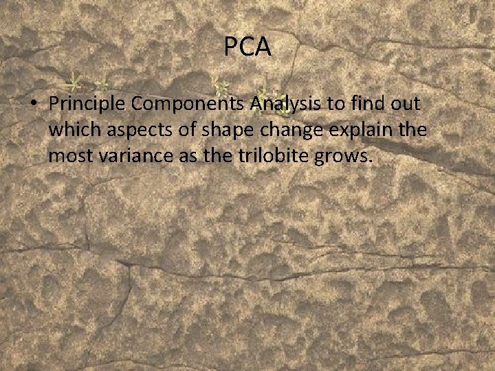 PCA • Principle Components Analysis to find out which aspects of shape change explain