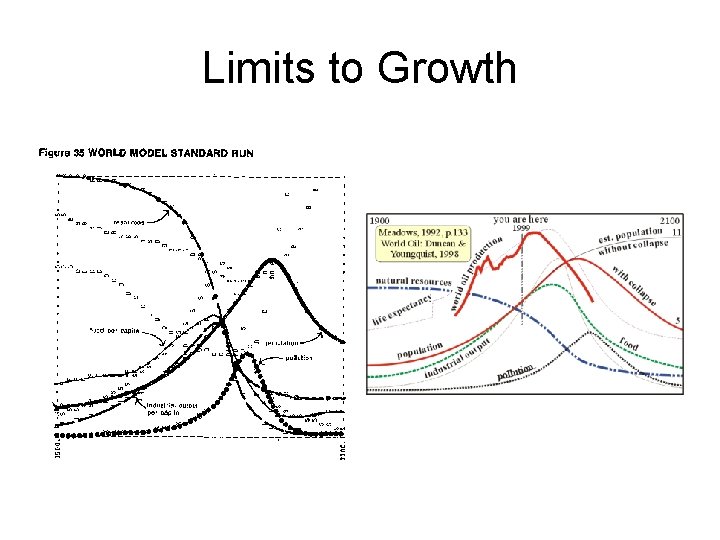 Limits to Growth 