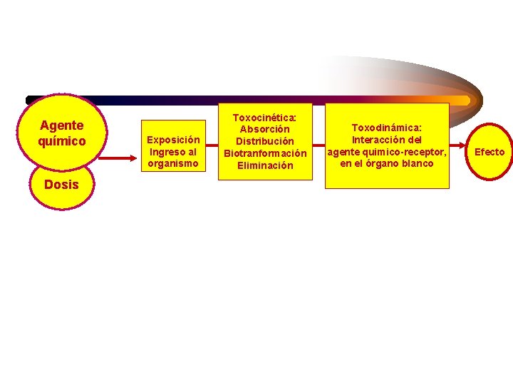 Agente químico Dosis Exposición Ingreso al organismo Toxocinética: Absorción Distribución Biotranformación Eliminación Toxodinámica: Interacción