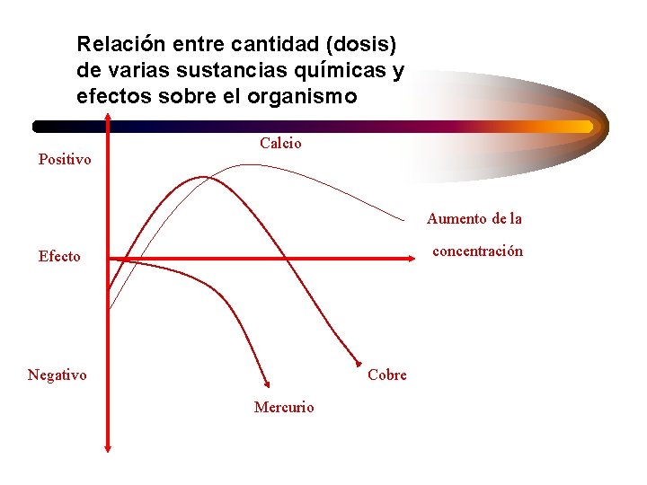 Relación entre cantidad (dosis) de varias sustancias químicas y efectos sobre el organismo Positivo