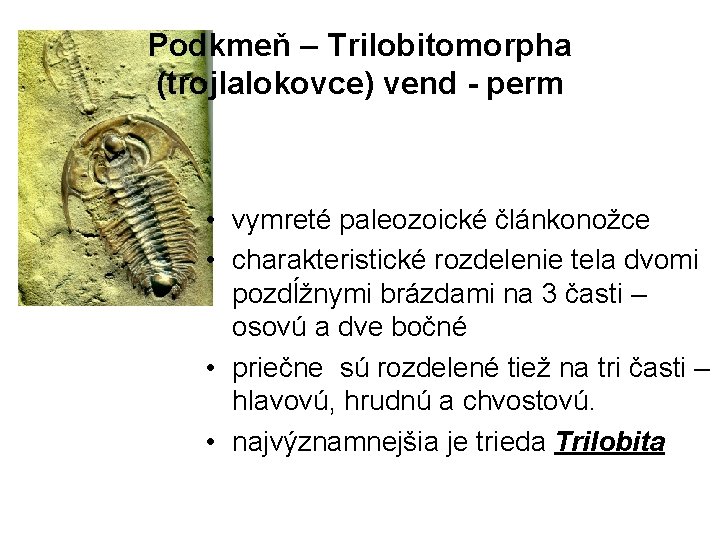 Podkmeň – Trilobitomorpha (trojlalokovce) vend - perm • vymreté paleozoické článkonožce • charakteristické rozdelenie