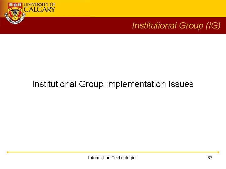 Institutional Group (IG) Institutional Group Implementation Issues Information Technologies 37 