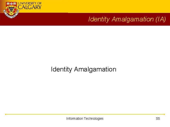 Identity Amalgamation (IA) Identity Amalgamation Information Technologies 55 