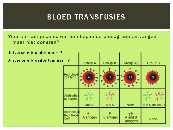 BLOED TRANSFUSIES Waarom kan je soms wel een bepaalde bloedgroep ontvangen maar niet doneren?