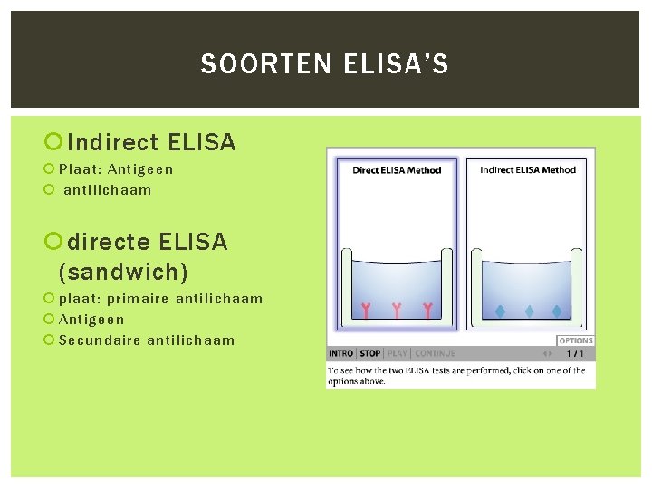 SOORTEN ELISA’S Indirect ELISA Plaat: Antigeen antilichaam directe ELISA (sandwich) plaat: primaire antilichaam Antigeen