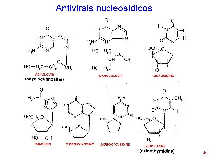 Antivirais nucleosídicos 26 