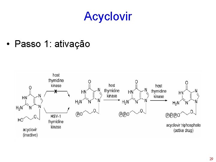 Acyclovir • Passo 1: ativação 29 