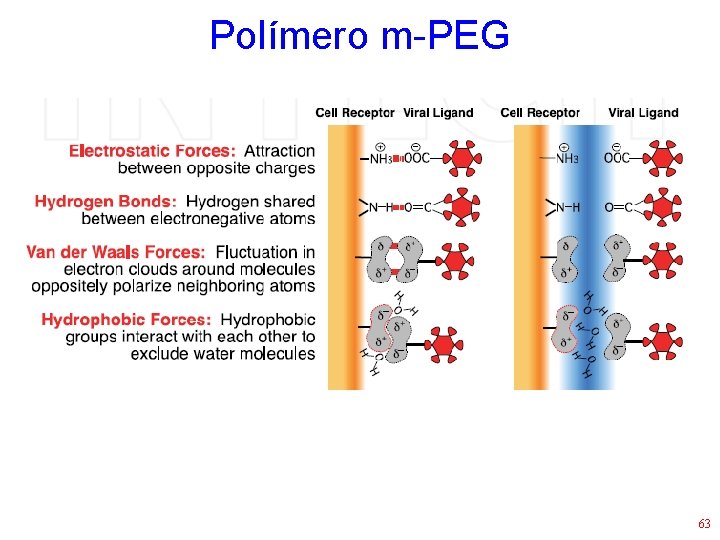 Polímero m-PEG 63 