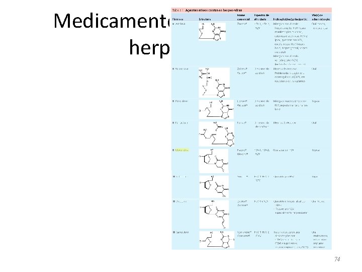 Medicamentos ativos contra herpesvírus 74 