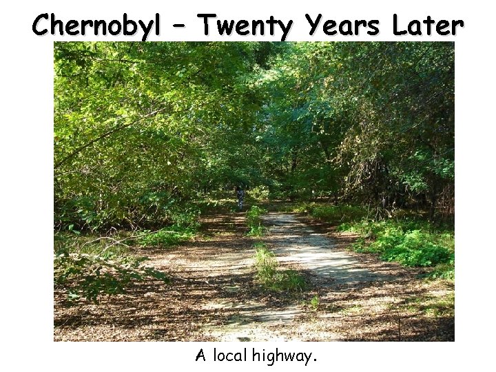 Chernobyl – Twenty Years Later A local highway. 