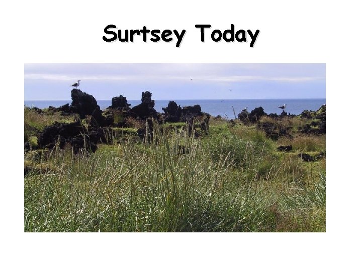 Surtsey Today 