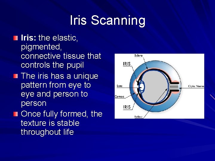 Iris Scanning Iris: the elastic, pigmented, connective tissue that controls the pupil The iris