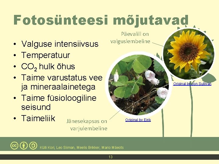 Fotosünteesi mõjutavad • • Valguse intensiivsus Temperatuur CO 2 hulk õhus Taime varustatus vee