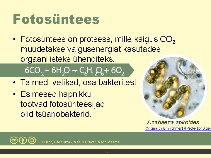 Fotosüntees • Fotosüntees on protsess, mille käigus CO 2 muudetakse valgusenergiat kasutades orgaanilisteks ühenditeks.