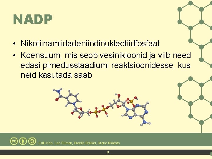NADP • Nikotiinamiidadeniindinukleotiidfosfaat • Koensüüm, mis seob vesinikioonid ja viib need edasi pimedusstaadiumi reaktsioonidesse,