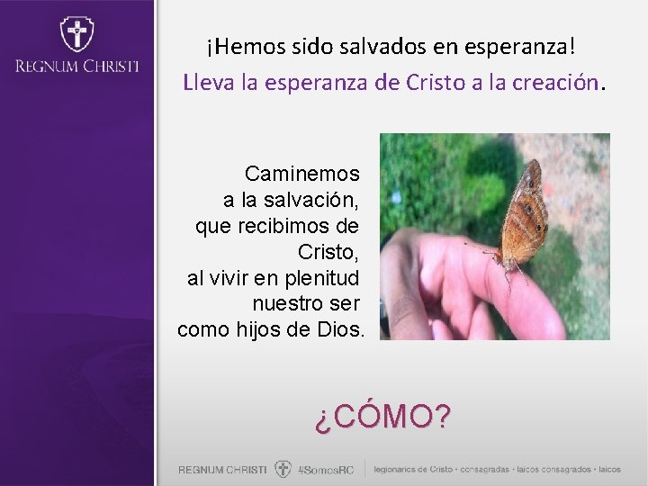 ¡Hemos sido salvados en esperanza! Lleva la esperanza de Cristo a la creación. Caminemos