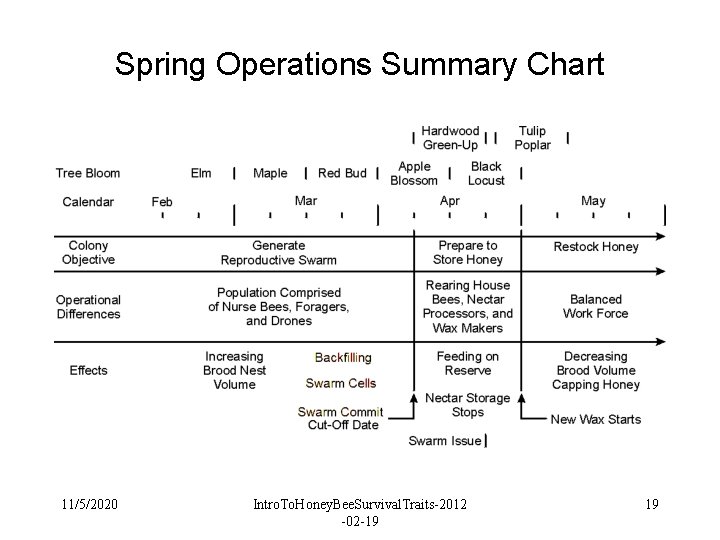 Spring Operations Summary Chart 11/5/2020 Intro. To. Honey. Bee. Survival. Traits-2012 -02 -19 19 Spring Operations Summary Chart 11/5/2020 Intro. To. Honey. Bee. Survival. Traits-2012 -02 -19 19