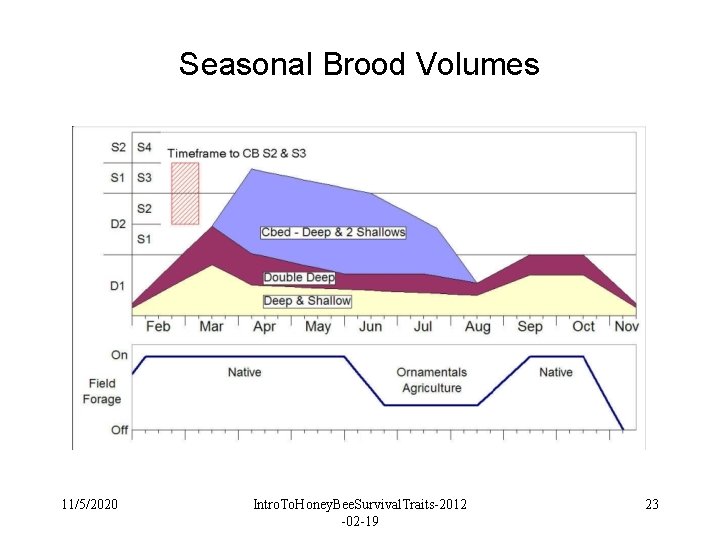 Seasonal Brood Volumes 11/5/2020 Intro. To. Honey. Bee. Survival. Traits-2012 -02 -19 23 Seasonal Brood Volumes 11/5/2020 Intro. To. Honey. Bee. Survival. Traits-2012 -02 -19 23