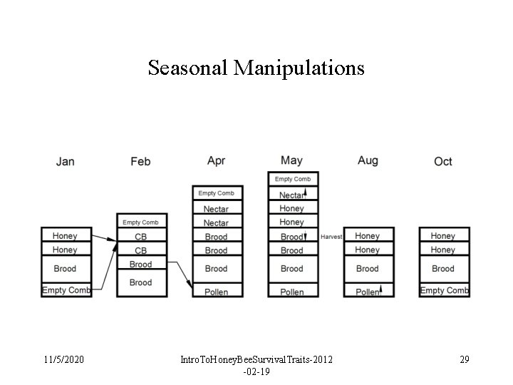 Seasonal Manipulations 11/5/2020 Intro. To. Honey. Bee. Survival. Traits-2012 -02 -19 29 Seasonal Manipulations 11/5/2020 Intro. To. Honey. Bee. Survival. Traits-2012 -02 -19 29