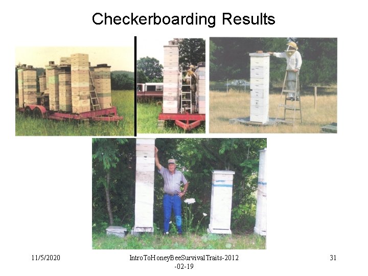 Checkerboarding Results 11/5/2020 Intro. To. Honey. Bee. Survival. Traits-2012 -02 -19 31 Checkerboarding Results 11/5/2020 Intro. To. Honey. Bee. Survival. Traits-2012 -02 -19 31