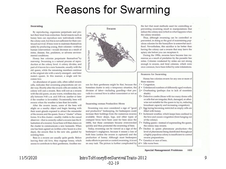 Reasons for Swarming 11/5/2020 Intro. To. Honey. Bee. Survival. Traits-2012 -02 -19 9 Reasons for Swarming 11/5/2020 Intro. To. Honey. Bee. Survival. Traits-2012 -02 -19 9