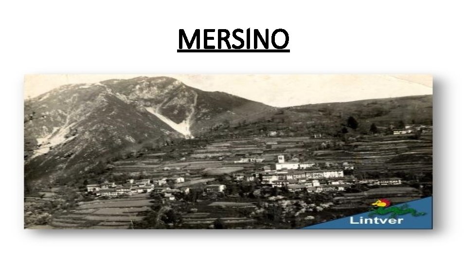 MERSINO 