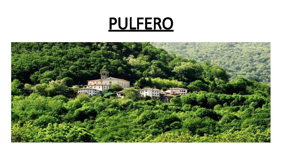 PULFERO 