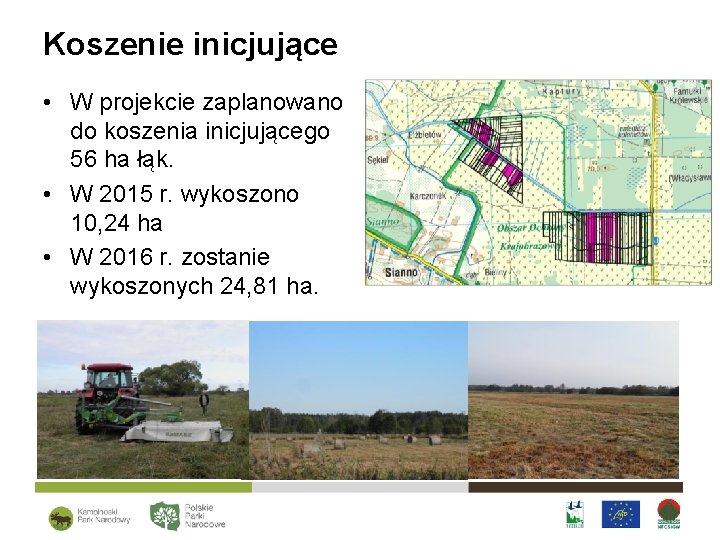 Koszenie inicjujące • W projekcie zaplanowano do koszenia inicjującego 56 ha łąk. • W