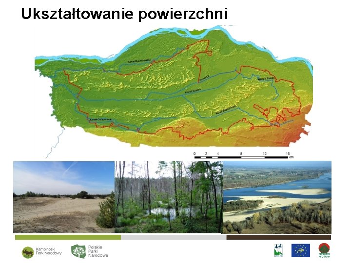 Ukształtowanie powierzchni 